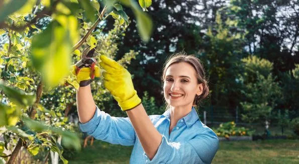 Grün- und Grauflächenpflege