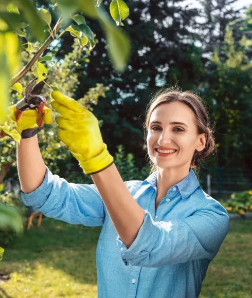 Frau mit Heckenschere am Baum