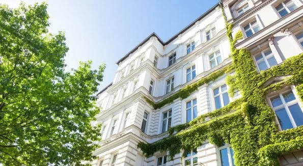 Grüne Hausfassade in der Innenstadt