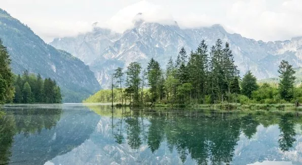 See mit Waldgebiet und Bergen