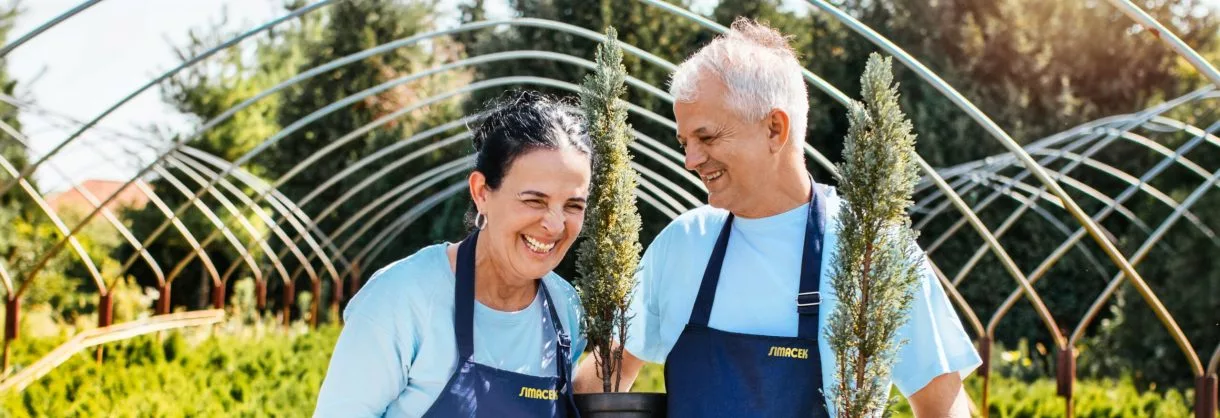 Zwei Menschen haben einen Baumsetzling in der Hand